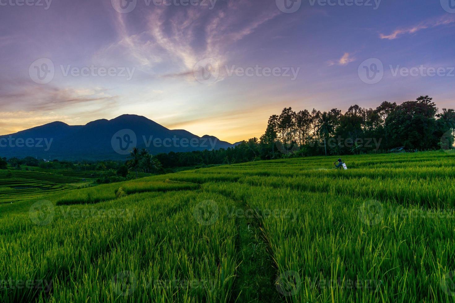 panorama över Asiens naturliga skönhet. utsikt över risfält med vacker soluppgång och bönder som sprutar foto