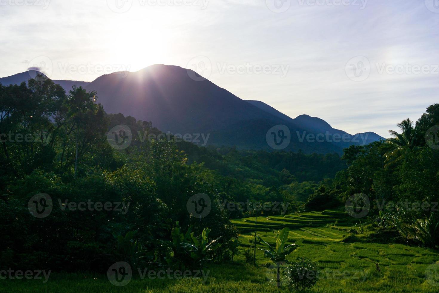 indonesiens natur med berg och risfält på en solig morgon foto