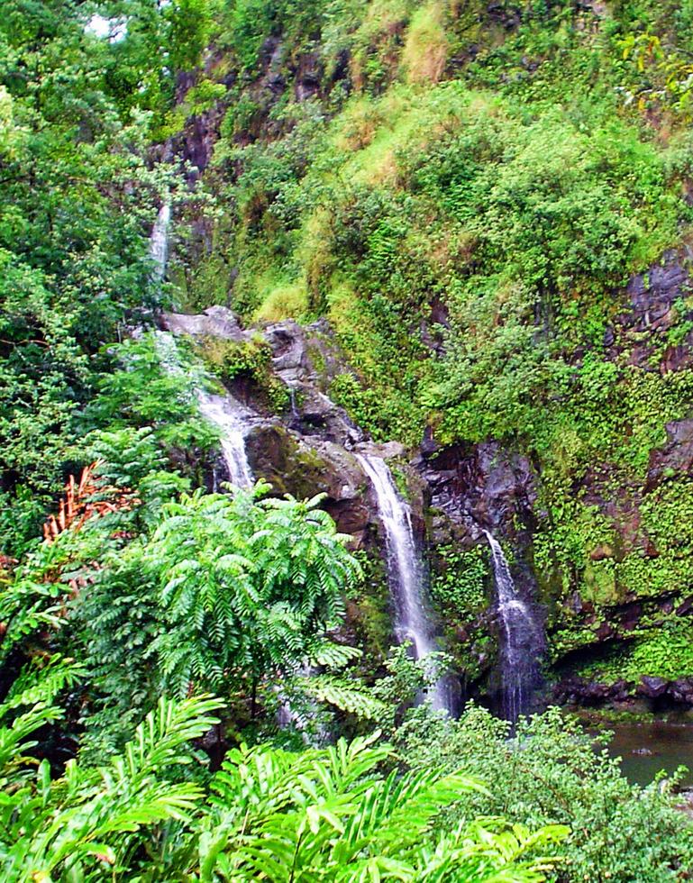 tre björnar faller maui hawaii foto