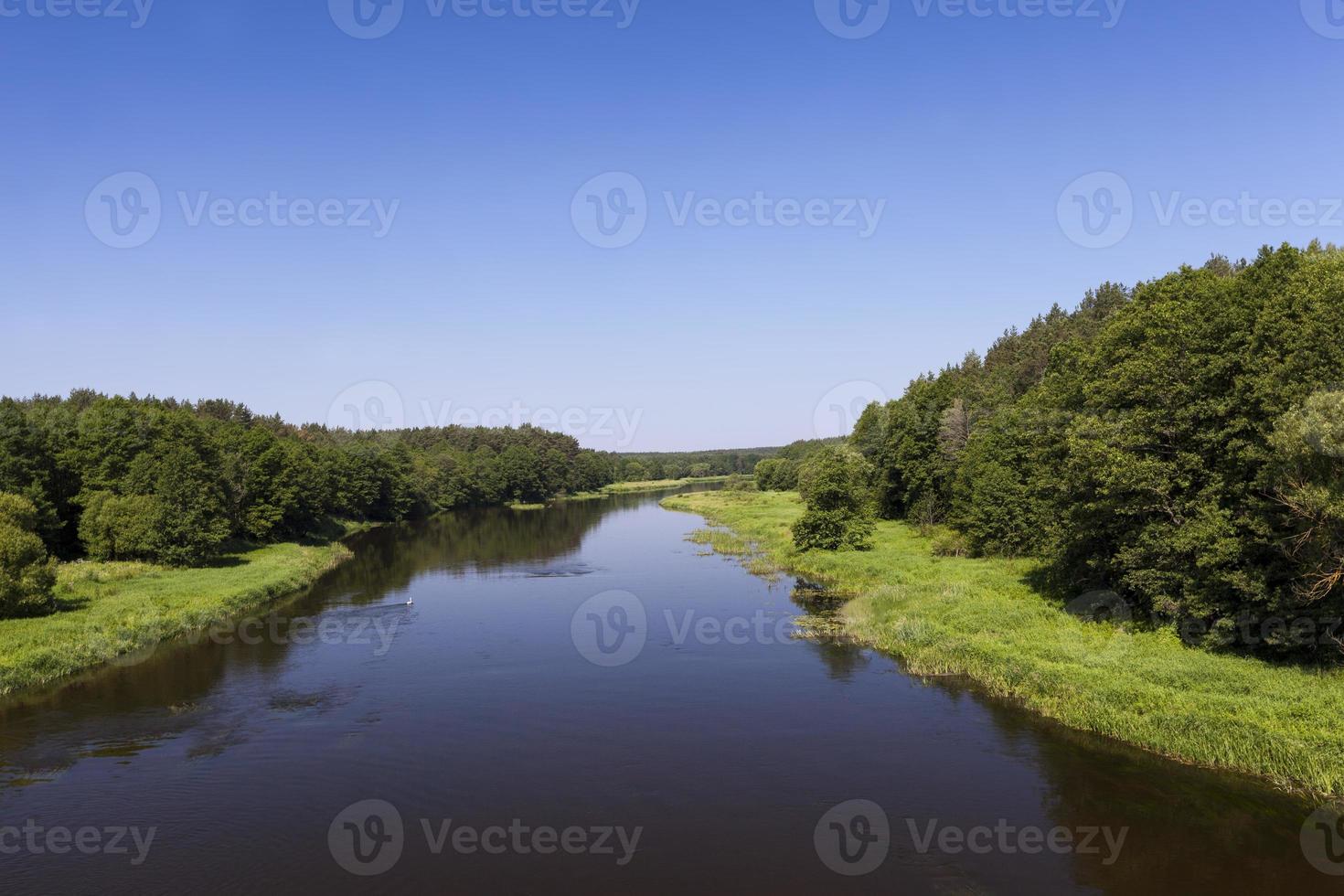ett sommarlandskap med flod foto