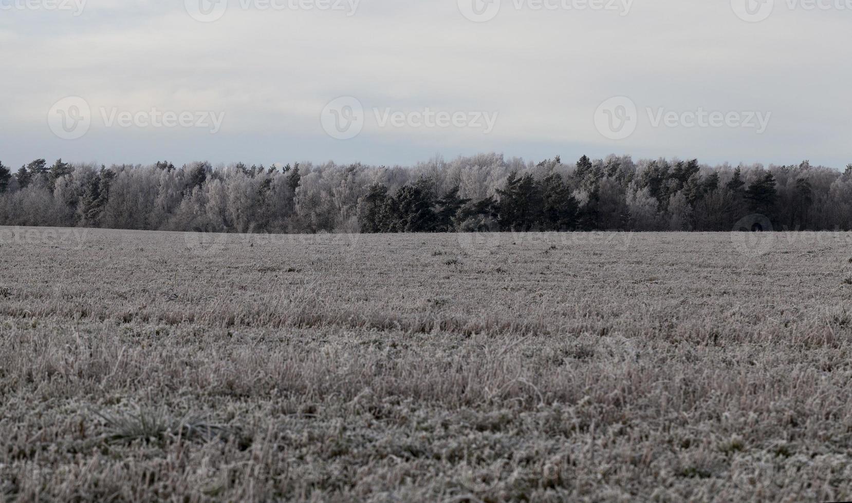 snö kalla drivor foto