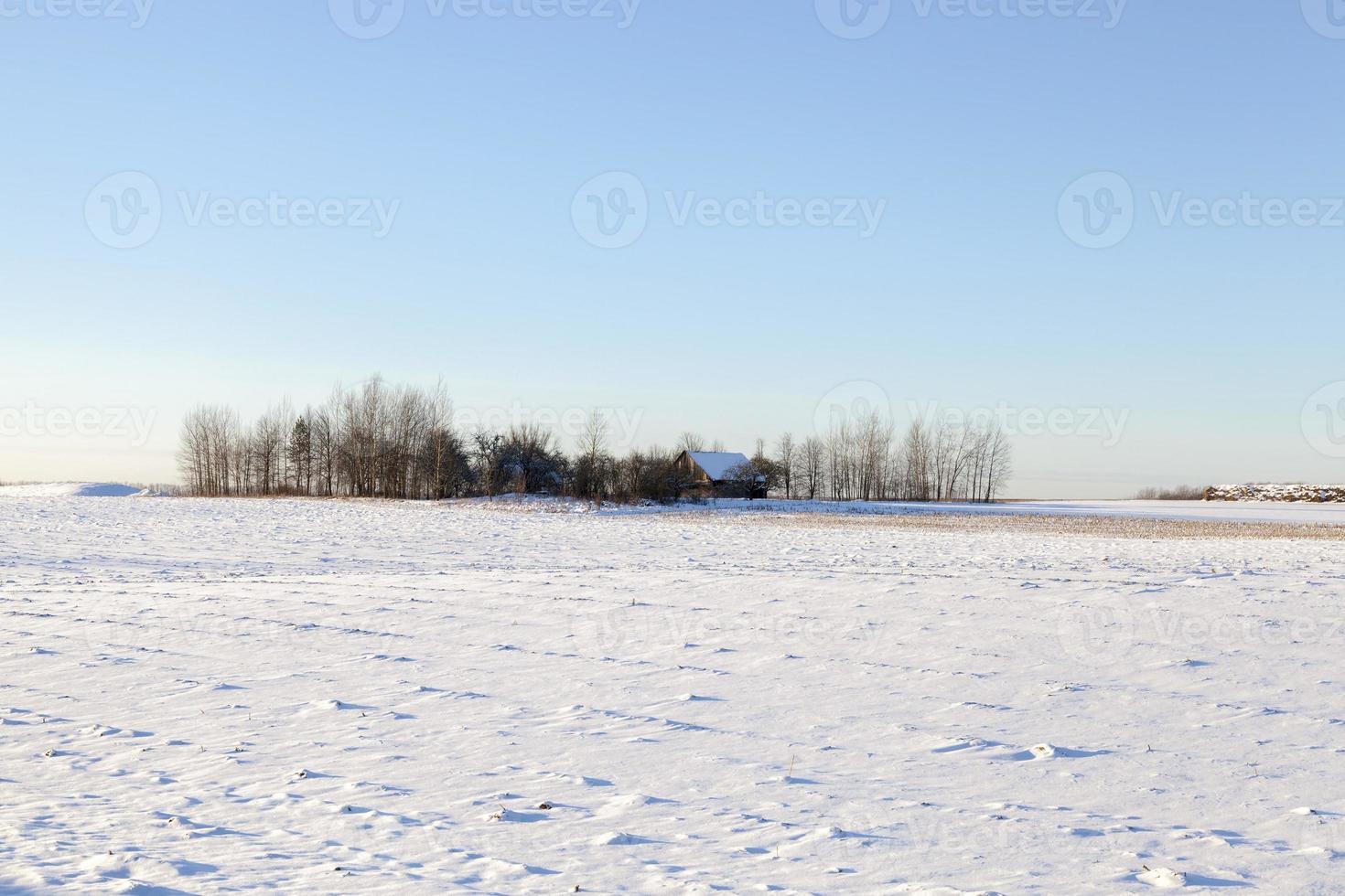 frost och snö foto