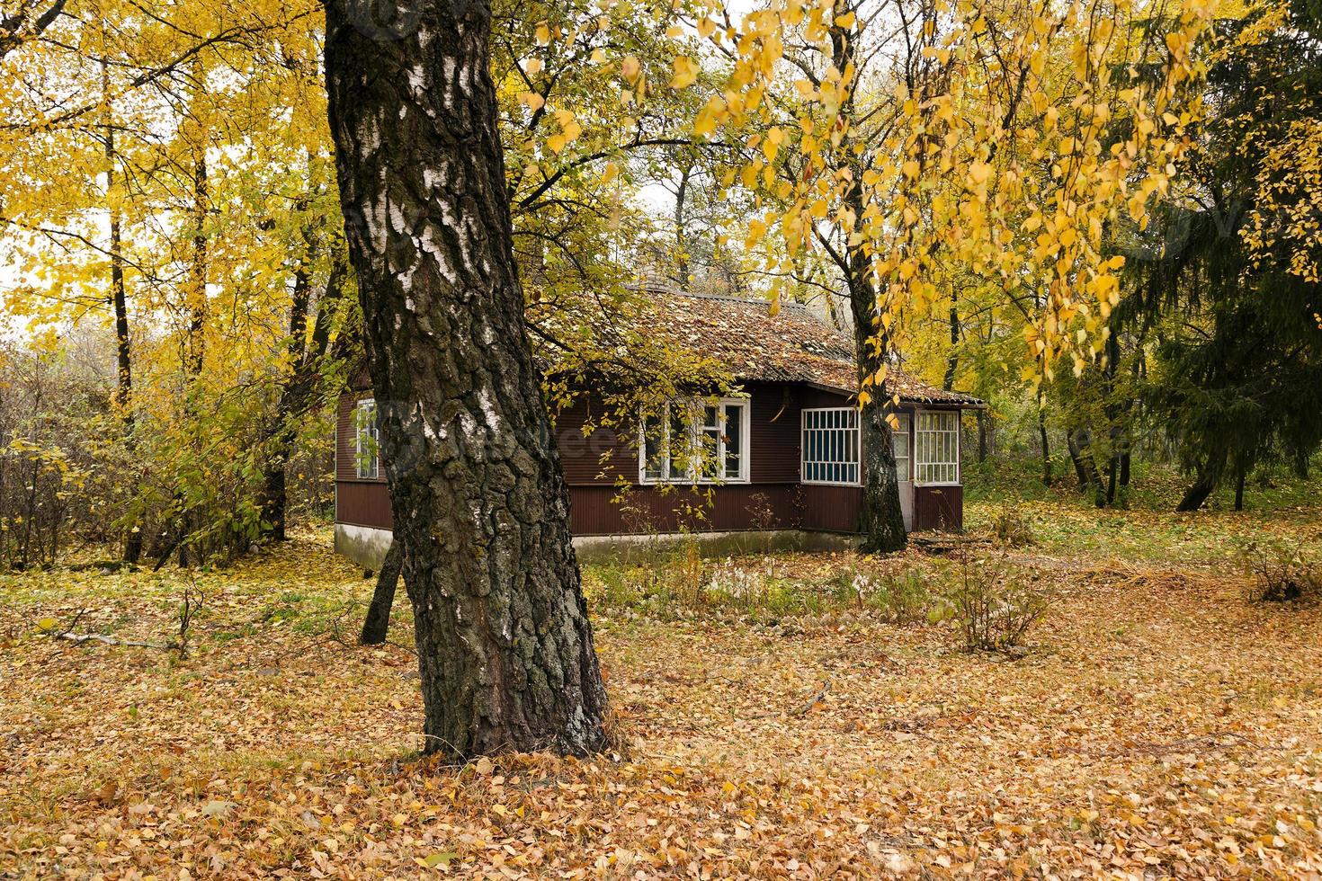 trähus . höst foto