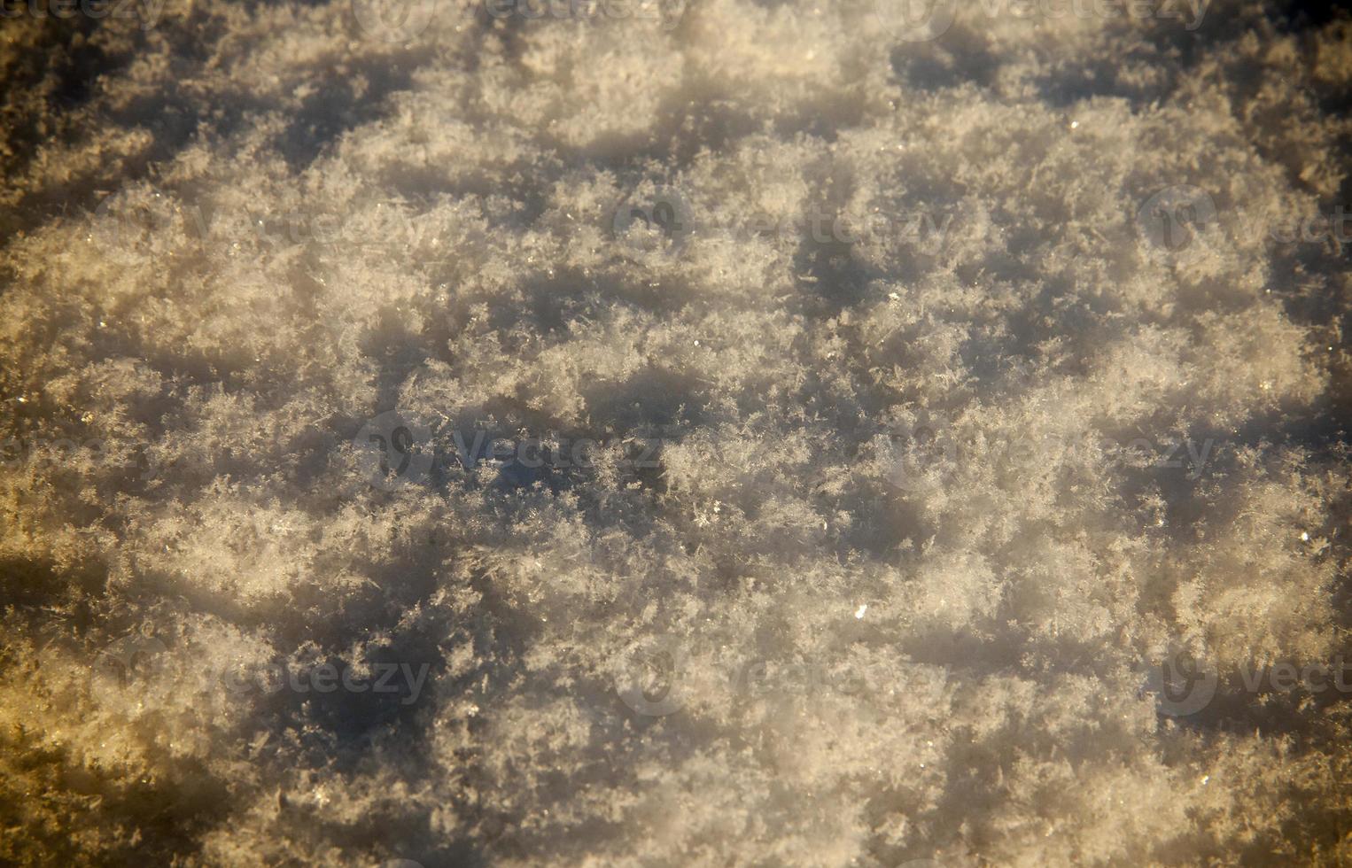 vinter säsong. fotofoto med vit snö efter senaste snöfallet. vinter säsong. foto