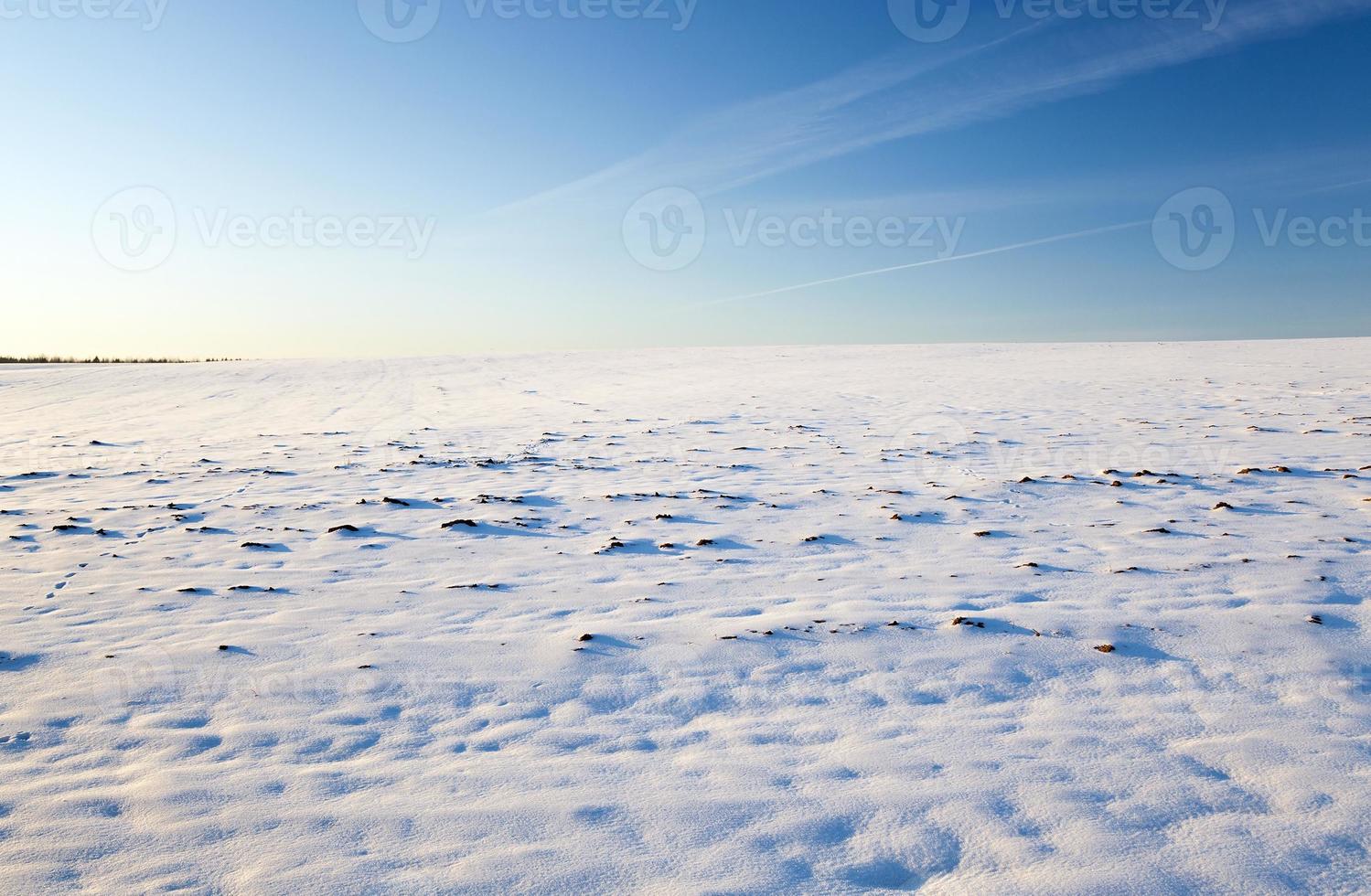 fältet täckt med snö foto