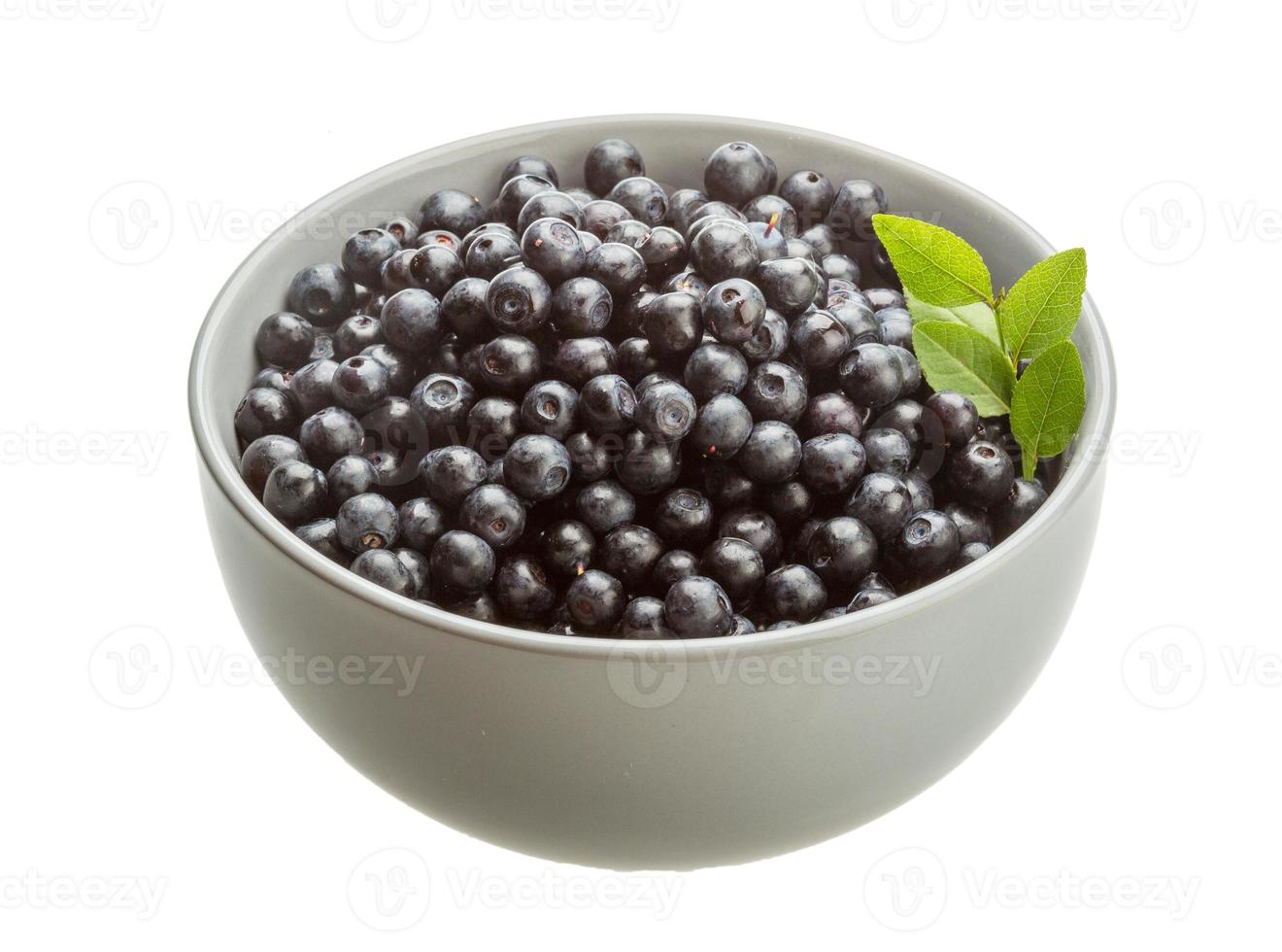 blåbär i en skål på vit bakgrund foto