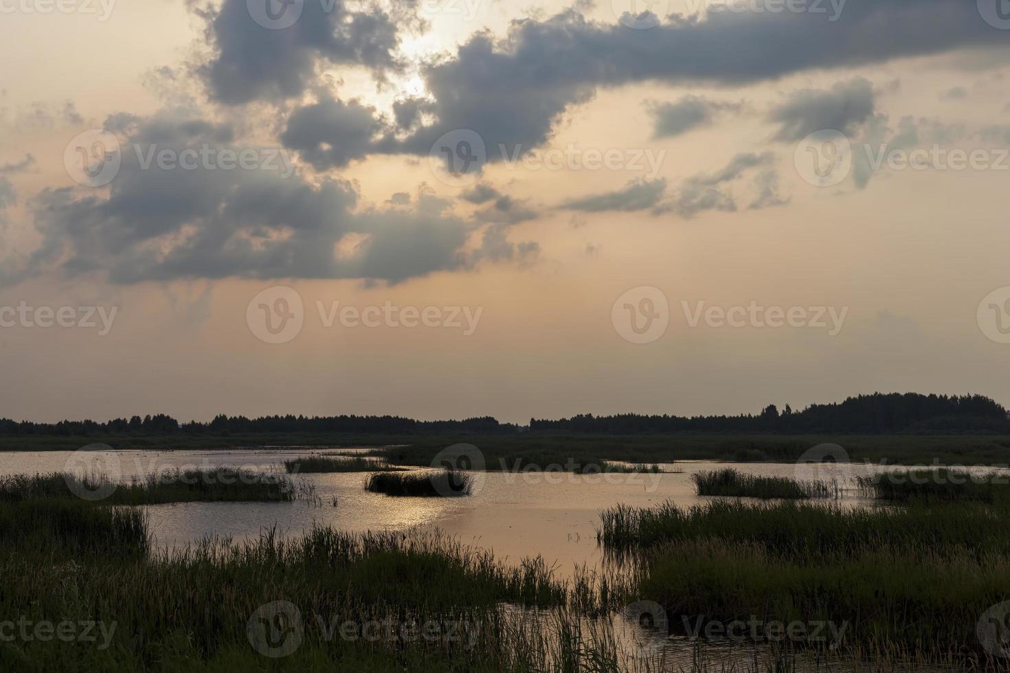 sjö med växter under solnedgången, reflektion i sjön foto