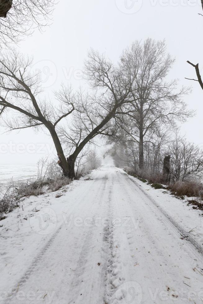 vägen är täckt av snö under vintersäsongen foto