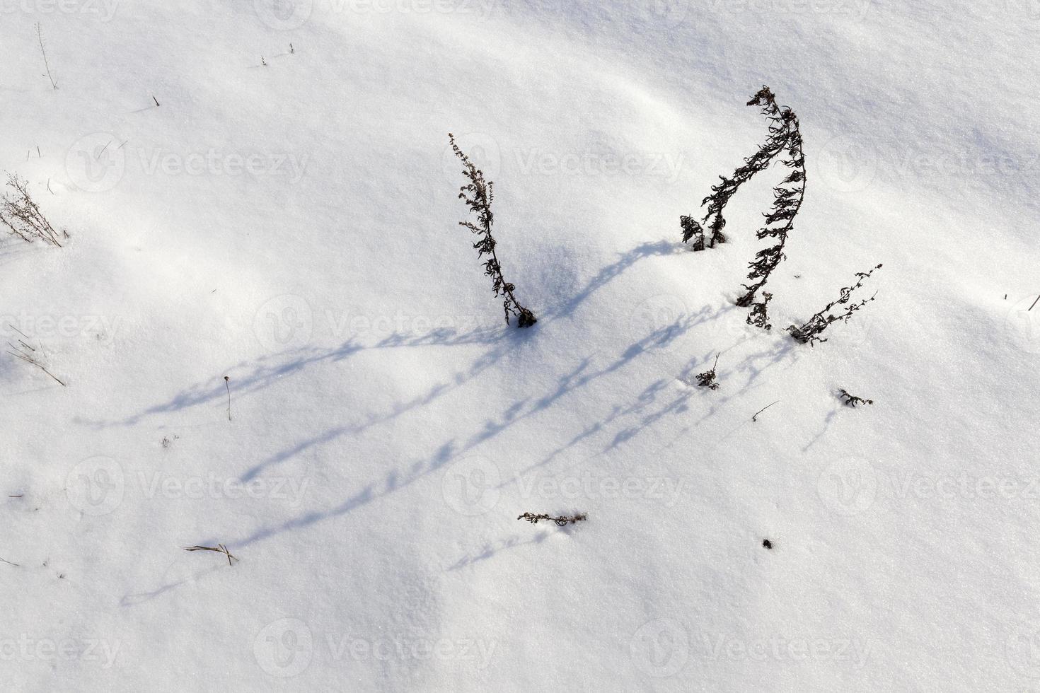 vintersäsongen med kallt väder och mycket snö foto