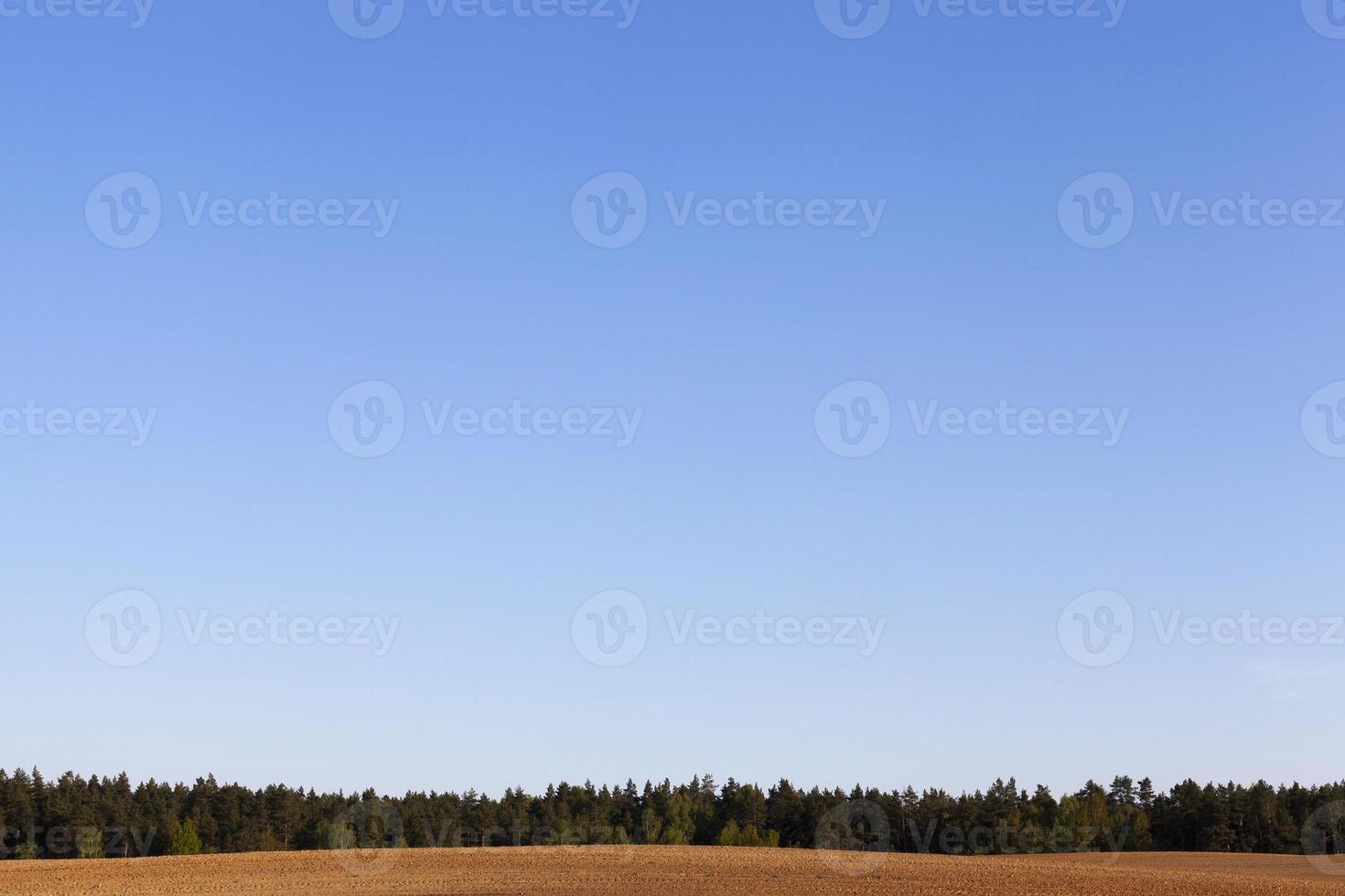 landskap med blå himmel foto