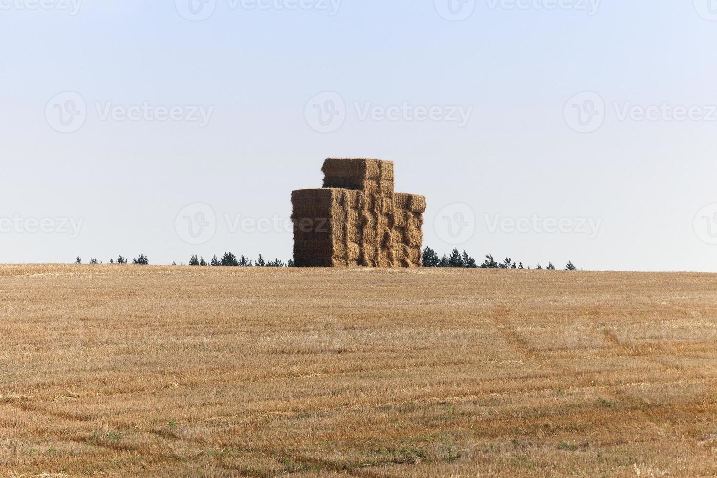 fyrkantig stackhalm foto