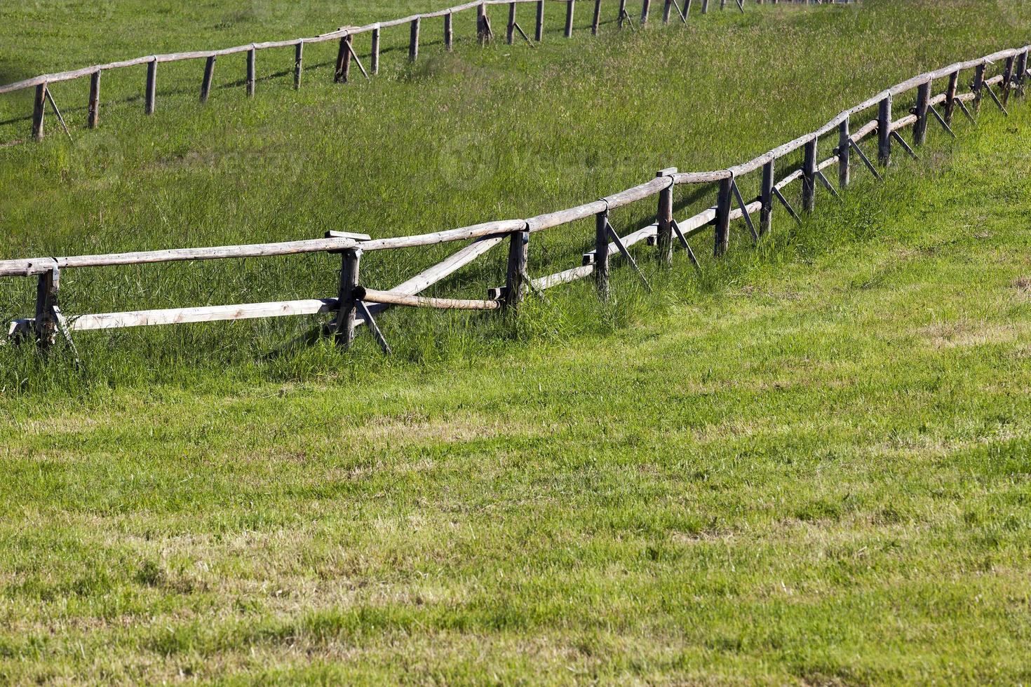 trästaket på gården foto