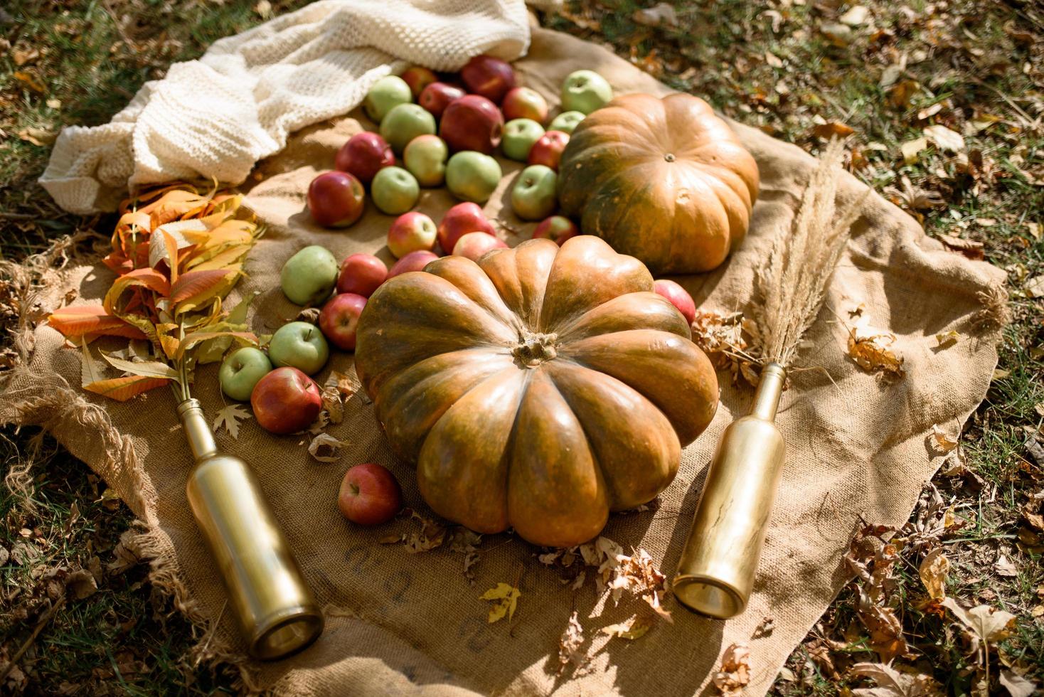 höstdekor i parken. pumpor och röda äpplen liggande i trälåda på höstbakgrund. hösttid. tacksägelsedagen. foto