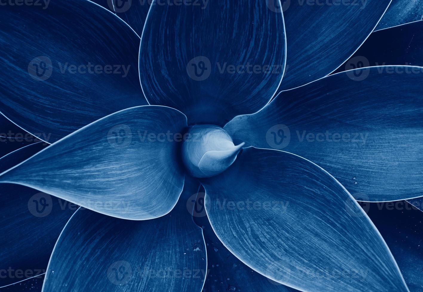 blommig ultraviolett abstrakt naturligt blommönster foto