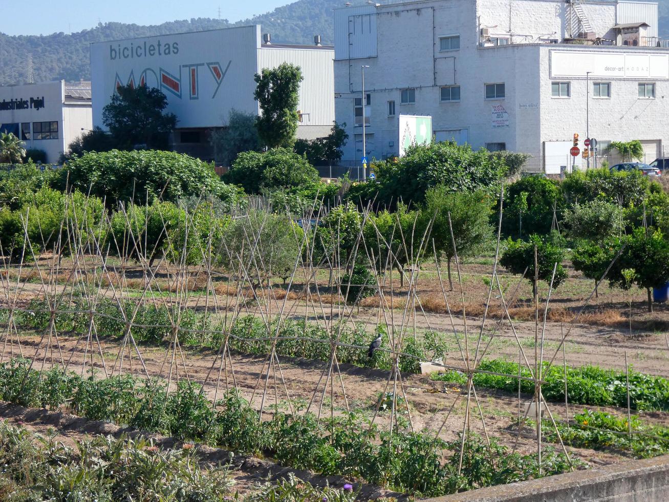 stadsträdgårdar mycket nära staden Barcelona i regionen Baix llobregat. foto