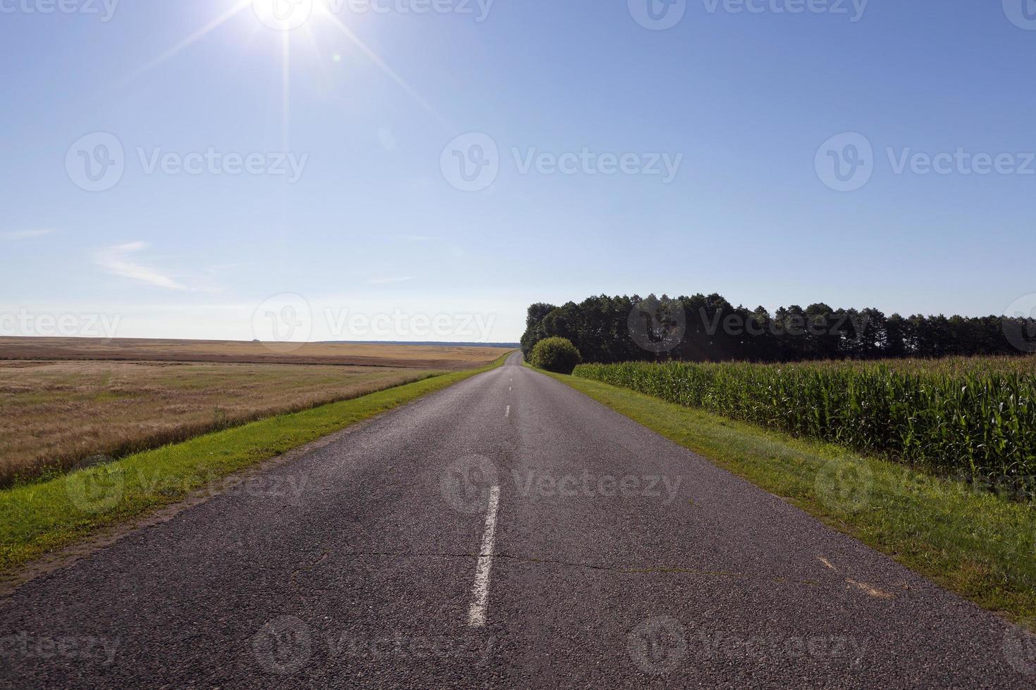 väg, landskap foto