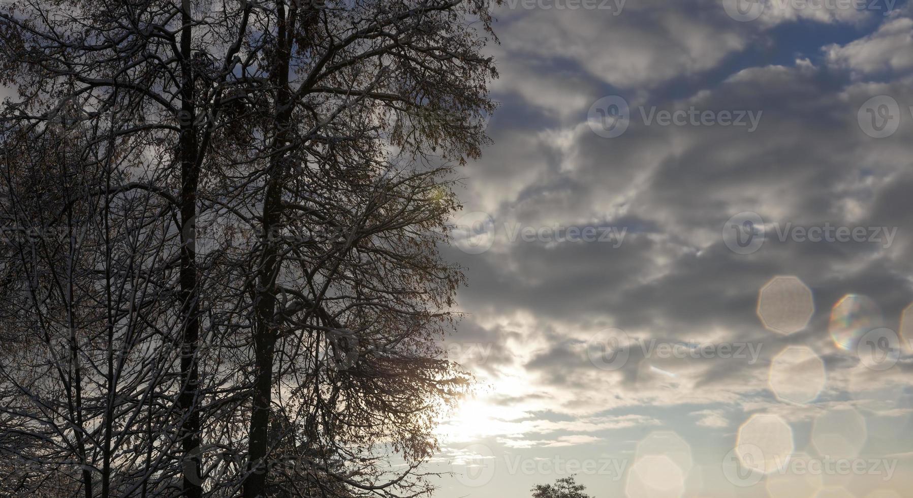 vinterväder i parken foto