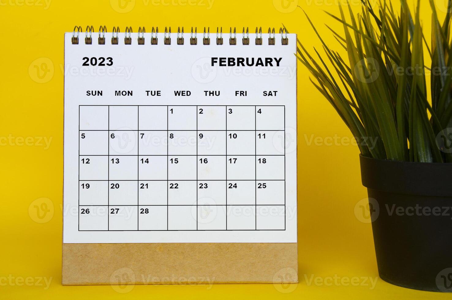 februari 2023 skrivbordskalender med bordsväxt på gul bakgrund. foto