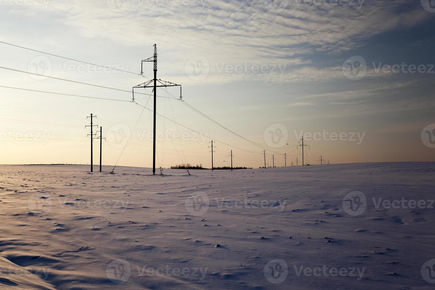 kraftledning. vinter- foto