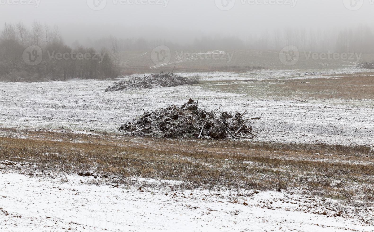 vackert vinterlandskap, avskogning foto