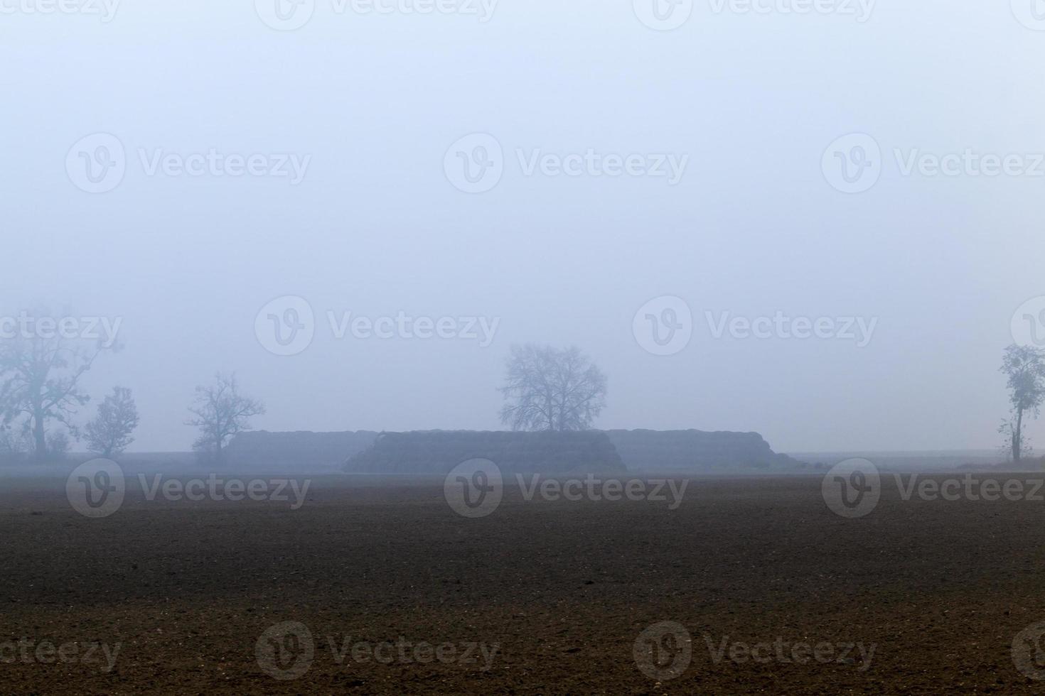 höstsäsongen på jordbruksområdet foto