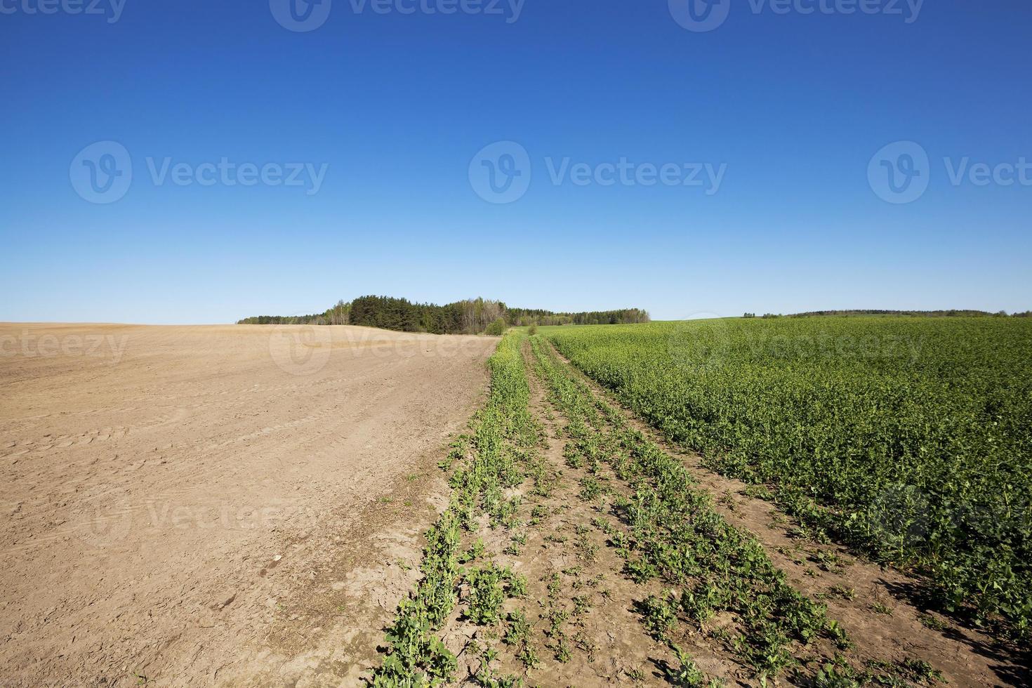 plöjd för odlingsmark foto