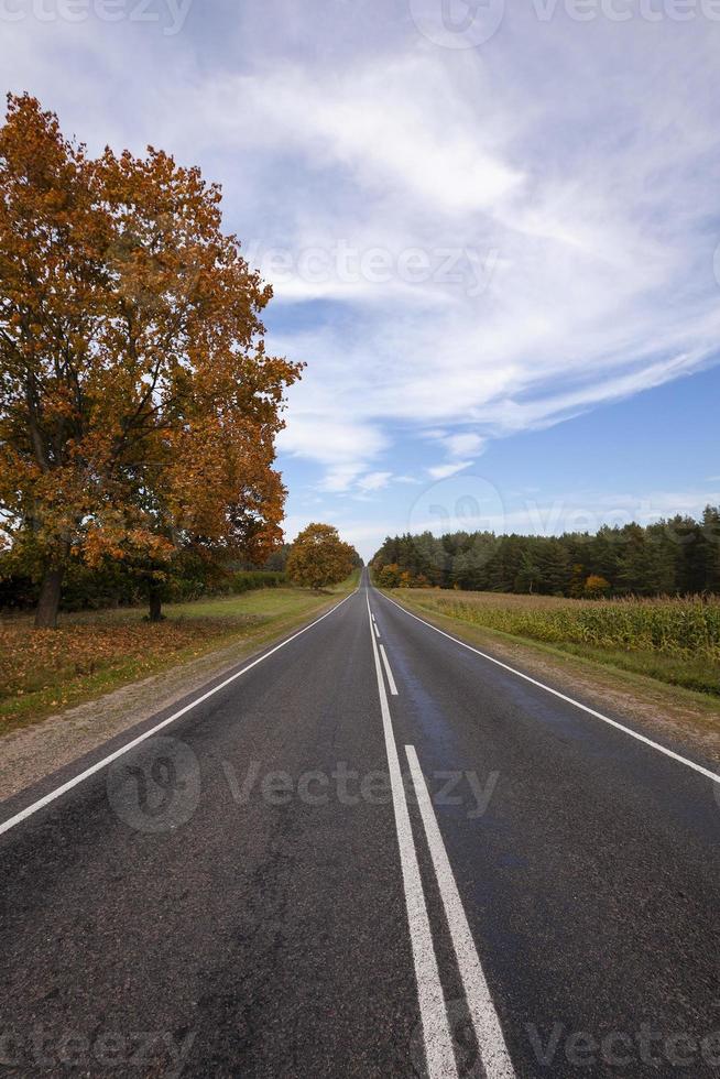 höstens väg foto