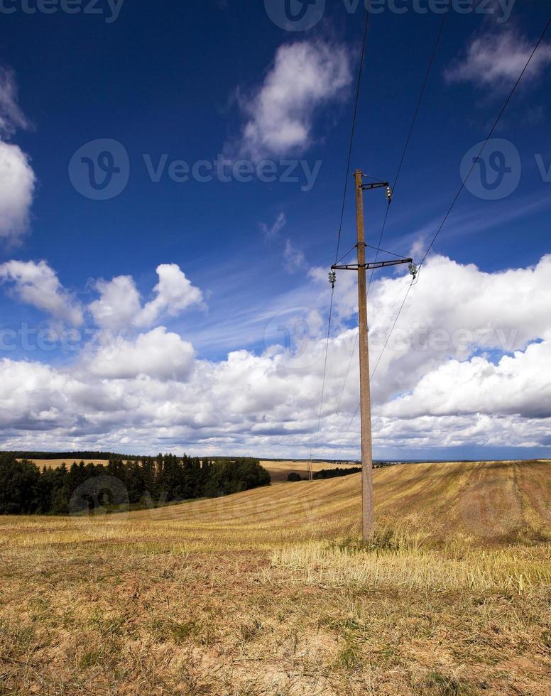 kolumn i fältet foto