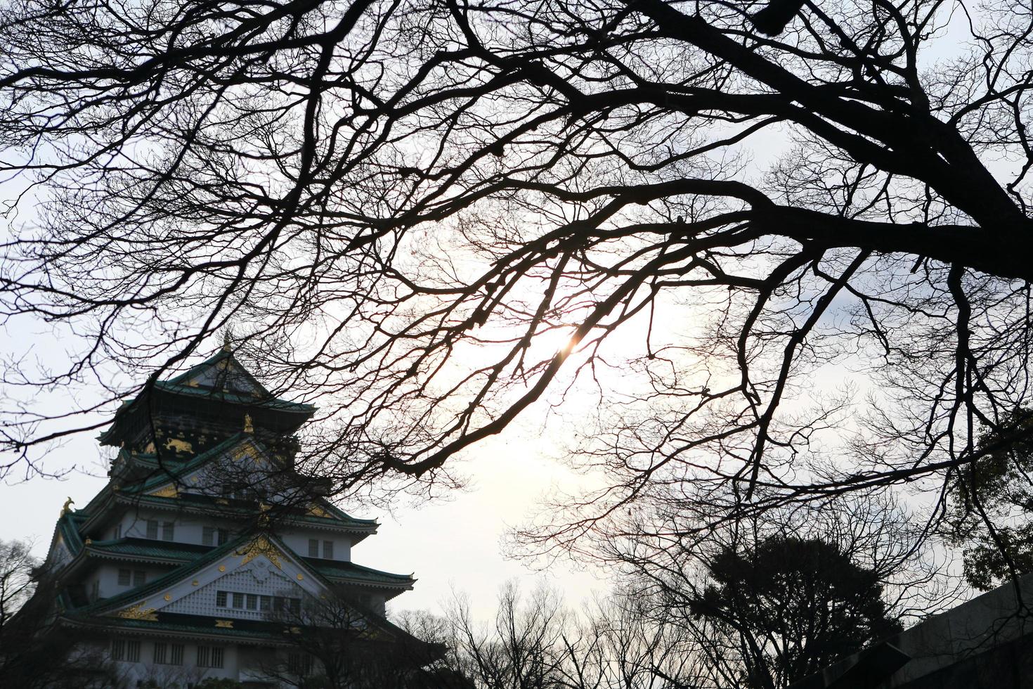 Osaka slott i Osaka, Japan foto