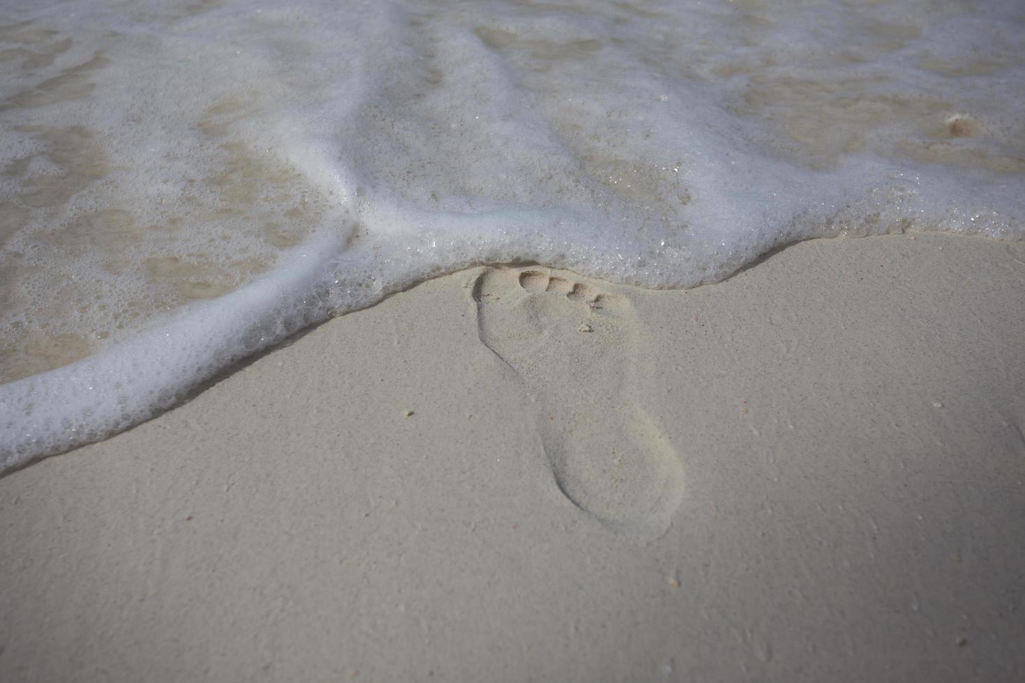 singel fotspår på sandstrand foto