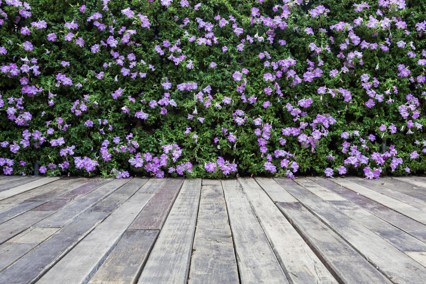 trästaket med blommor foto