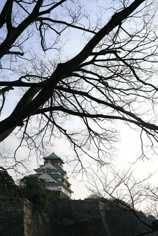 Osaka slott i Osaka, Japan foto