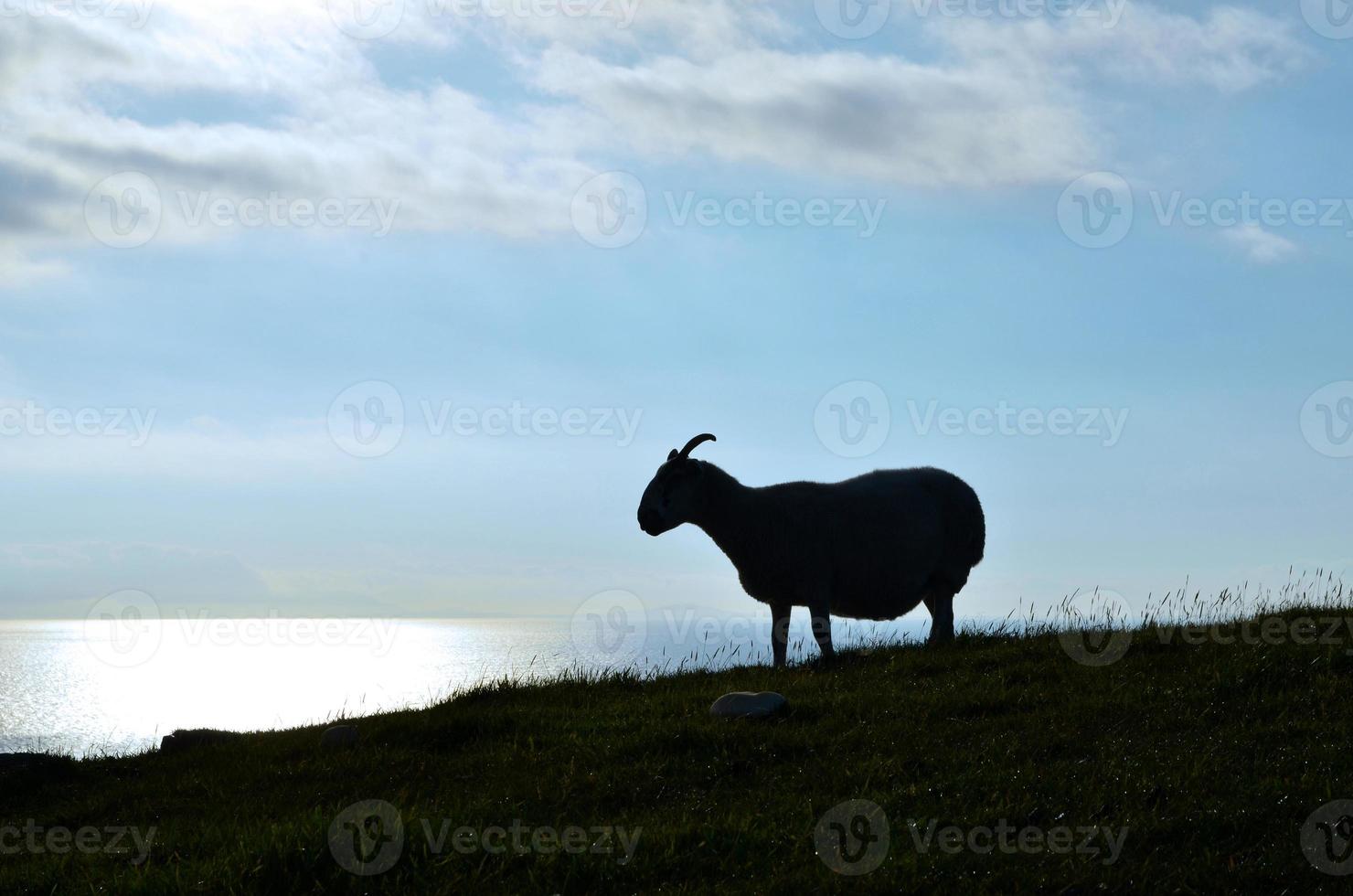 hisnande utsikt över ön skye kusten foto