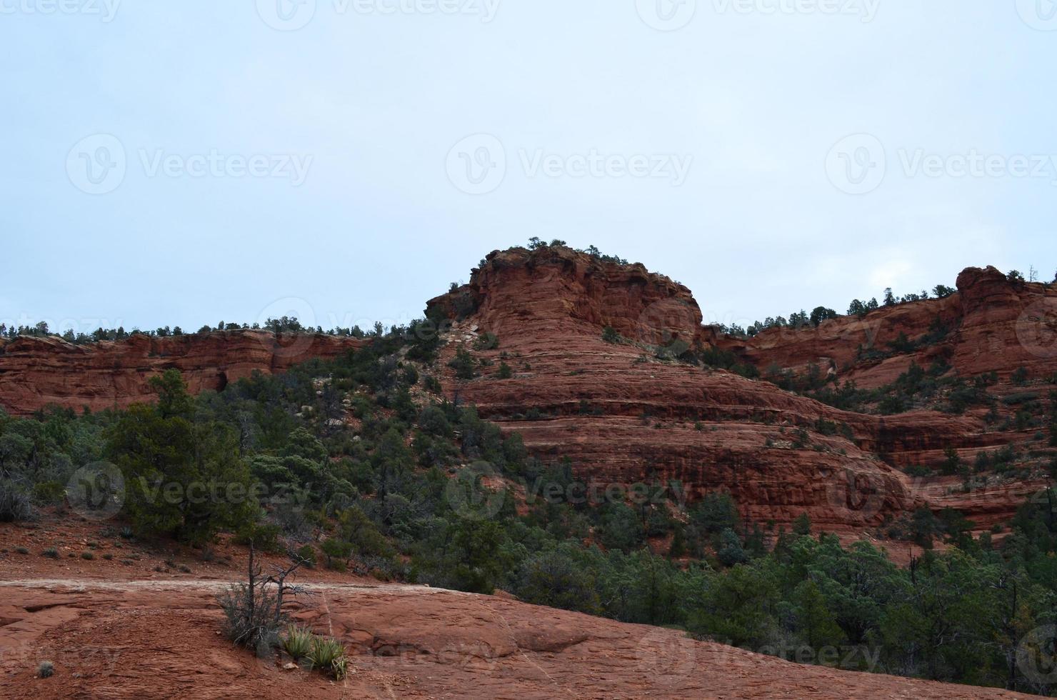 fantastiska röda klipplandskap i sedona arizona foto