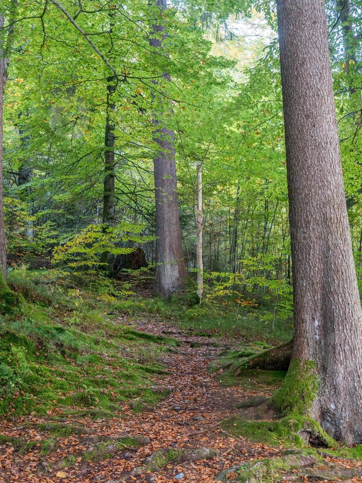 landskapsvy i Bayern, Tyskland foto