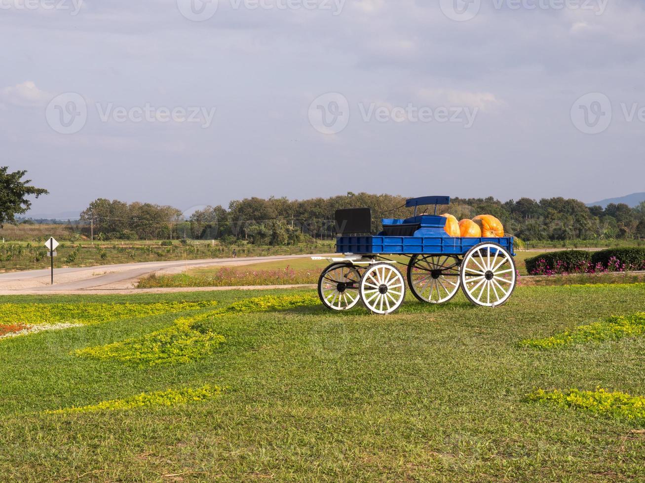 färgglad vagn i gården foto