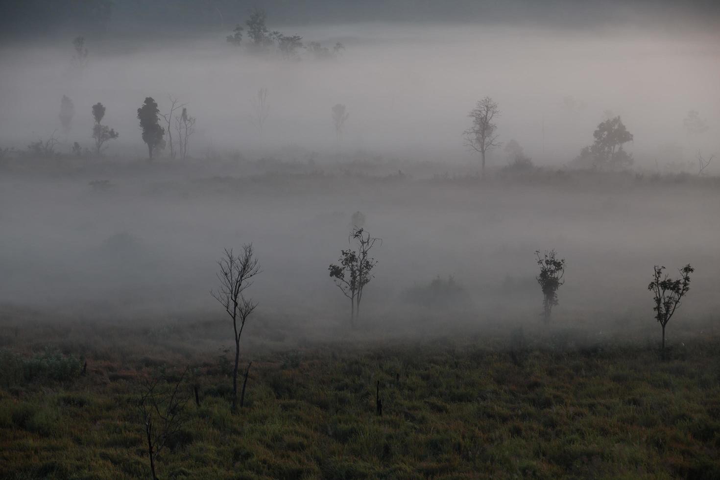 dimma berg i den tidiga morgonen soluppgången foto