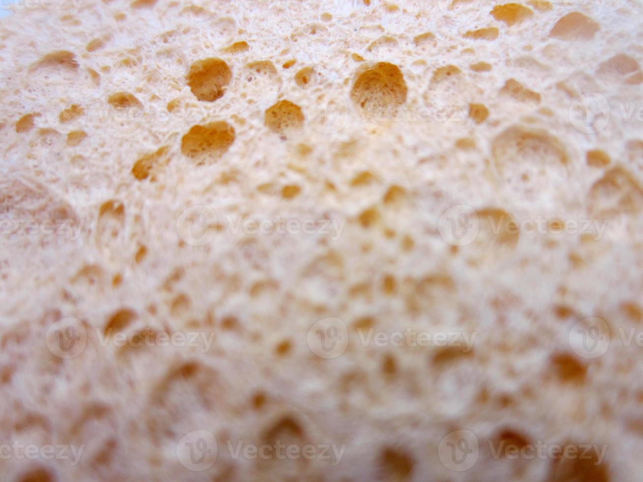 torr svamp konsistens närbild foto
