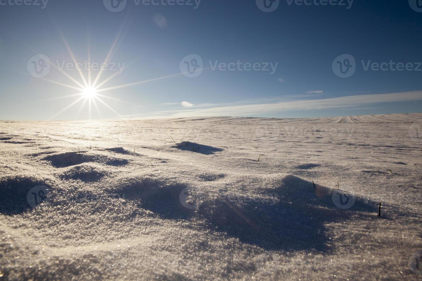 snötäckt landsbygdsområde foto