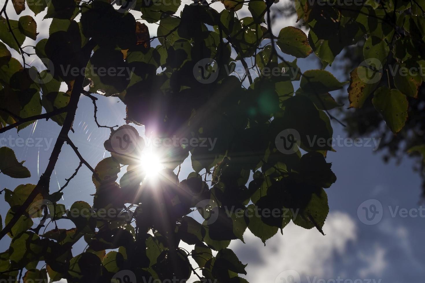 sol ljuscylindriska staplar foto