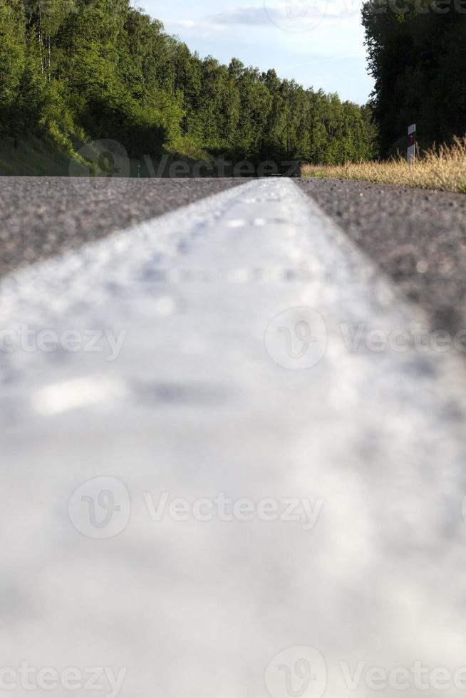 närbild av en asfaltväg med vita vägmarkeringar foto