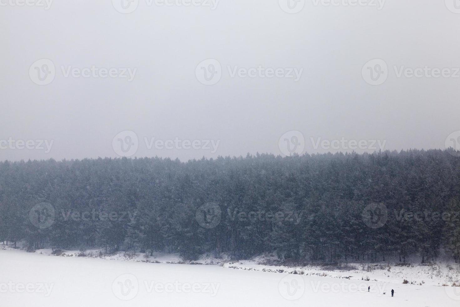 snö på vintern foto