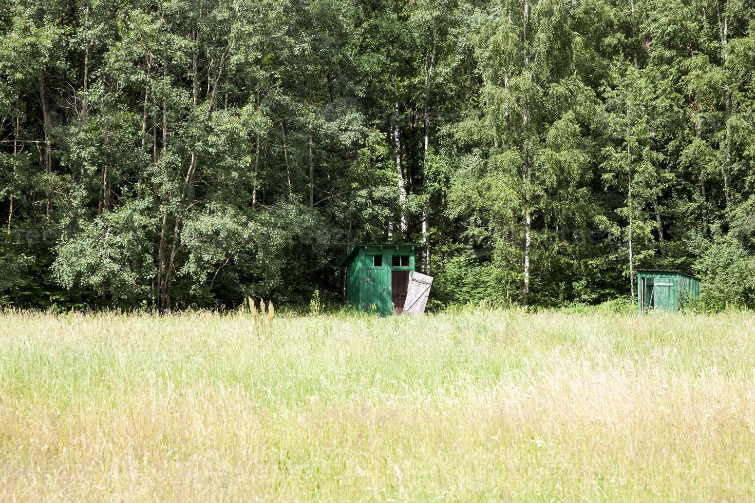 trätoaletter nära skogen foto