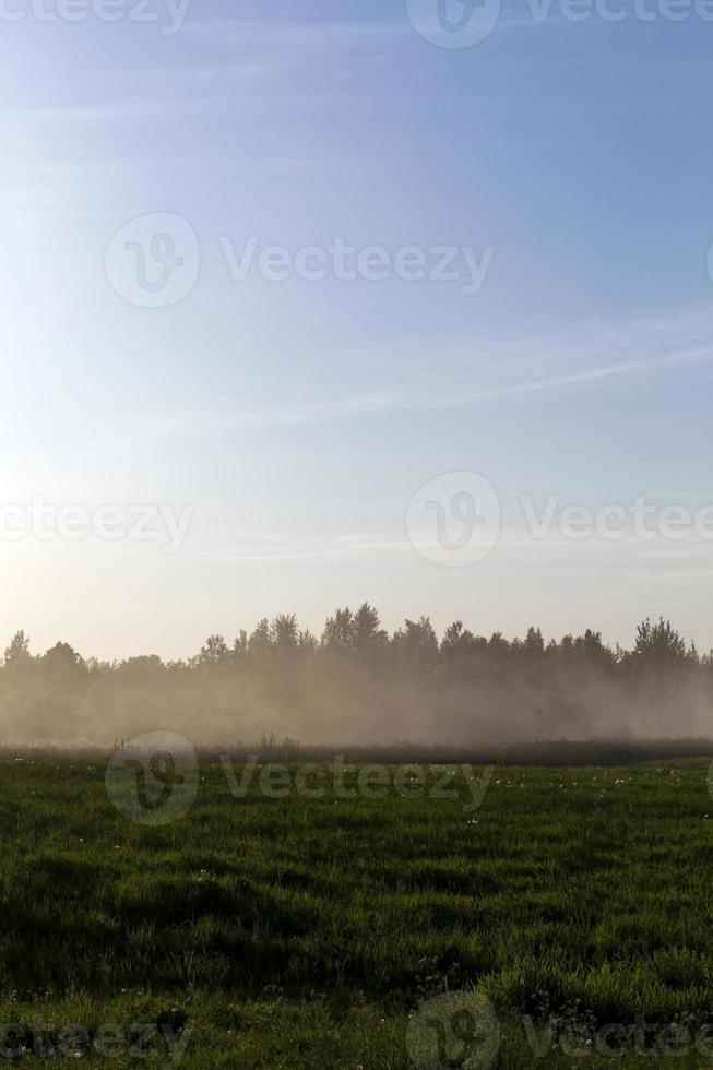 dis vid solnedgången foto