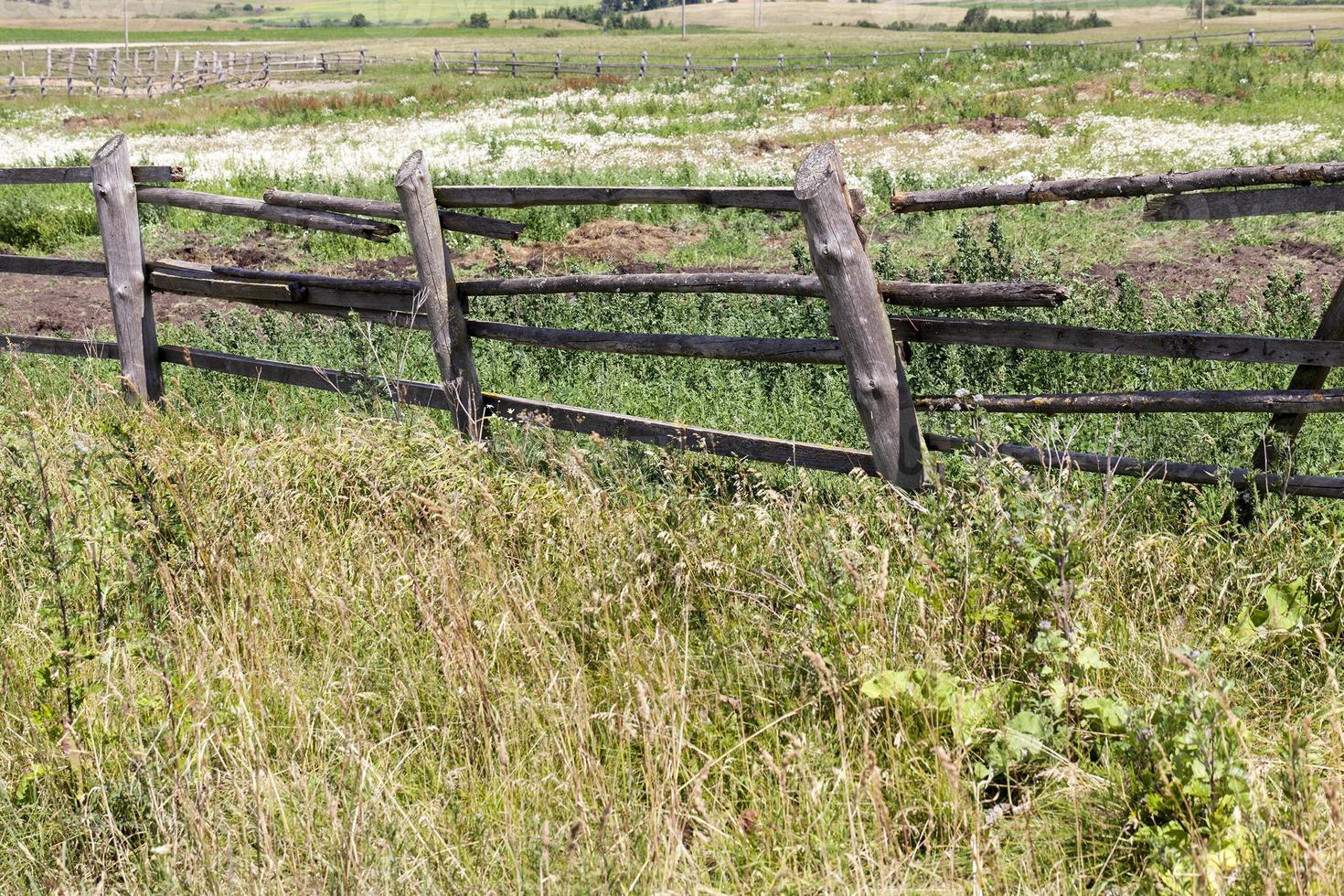 gammalt och primitivt staket foto