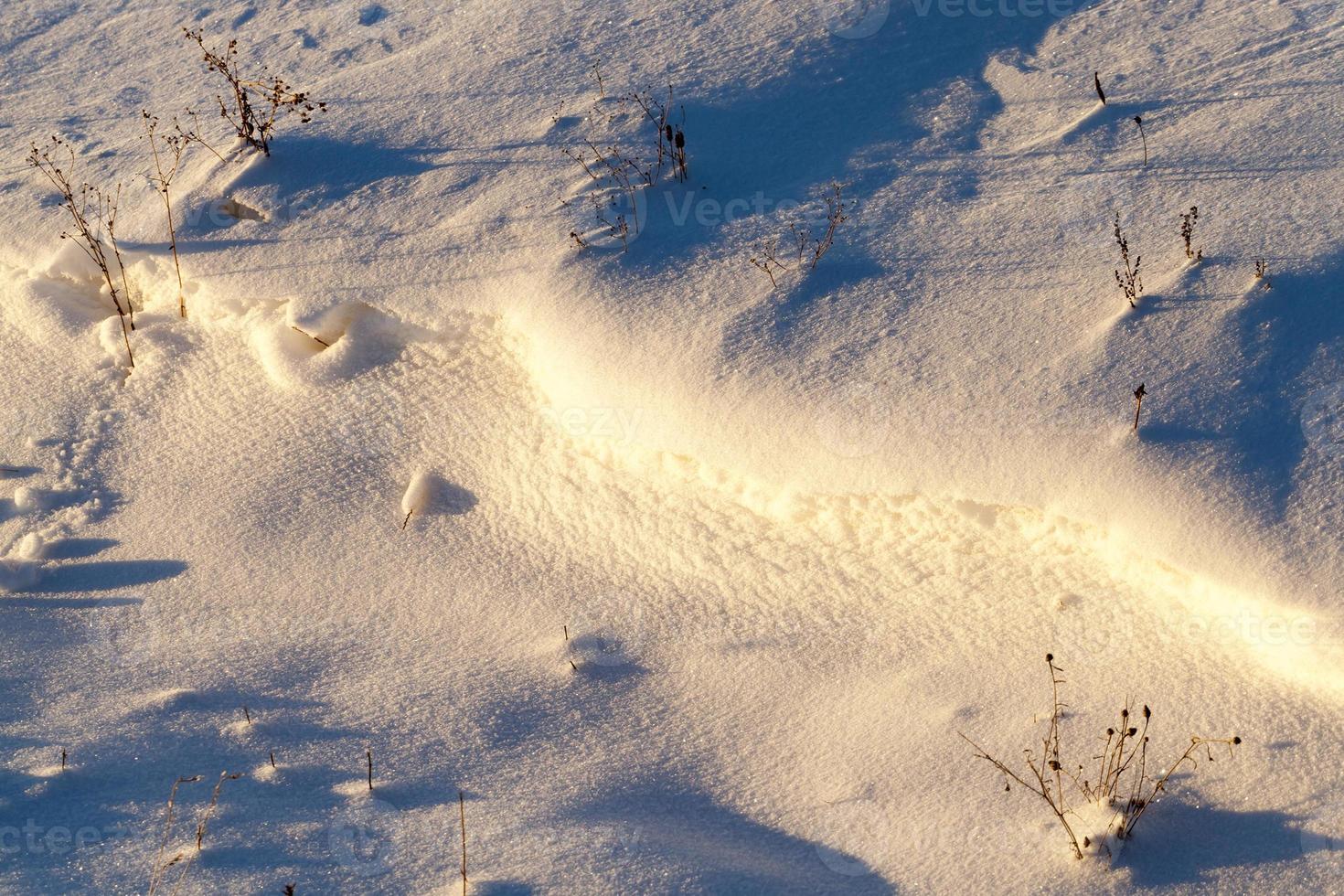 snödrivor på vintern foto