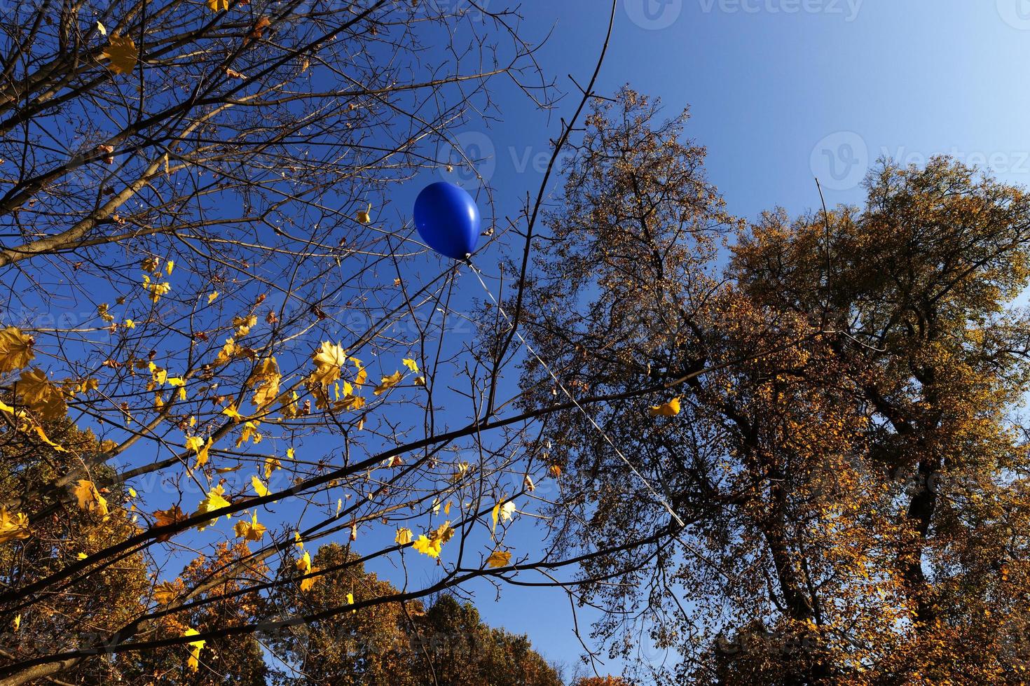 blå ballong i parken. foto