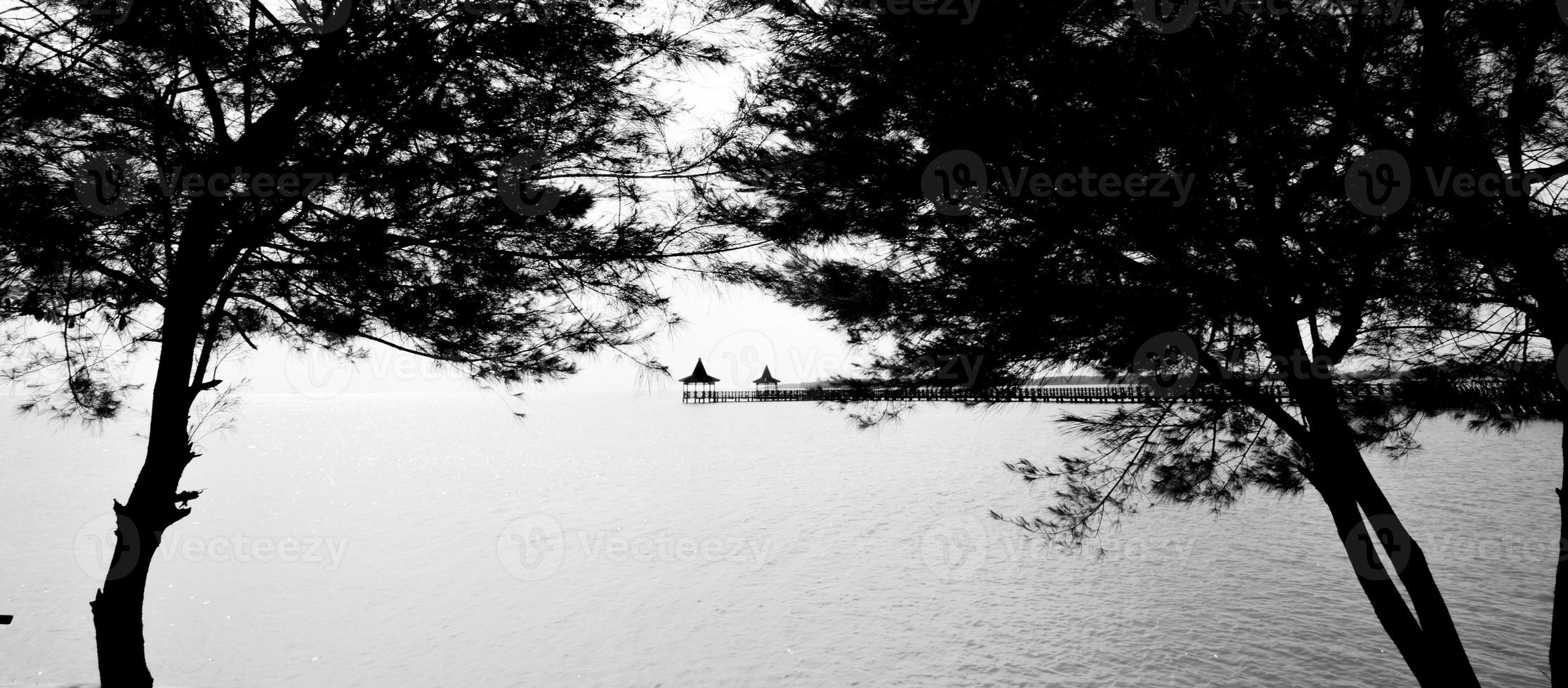 utsikt över stranden med vacker träbrygga foto