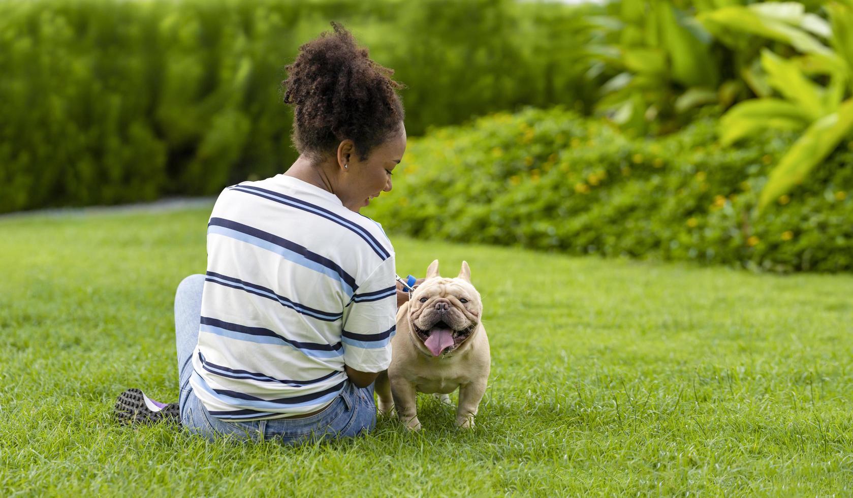 afrikansk amerikansk kvinna leker med sin franska bulldogvalp medan hon går i hundparken vid gräsmattan efter att ha haft morgonträning under sommaren foto