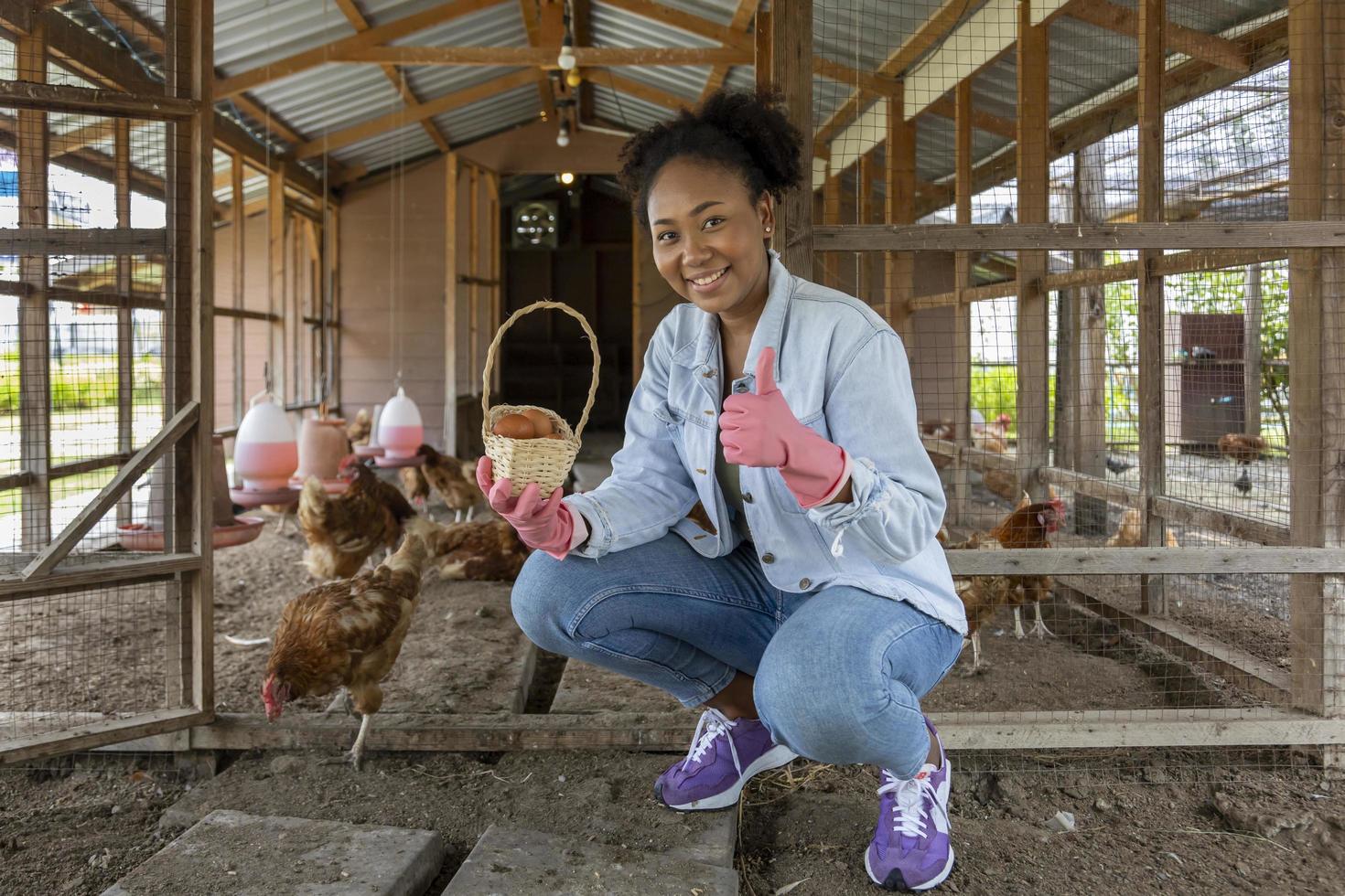 African American farmer samlar in ekologiska ägg från hönshuset som använder frigående teknik foto